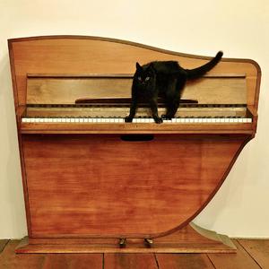 欧美亚洲精品综合久久
